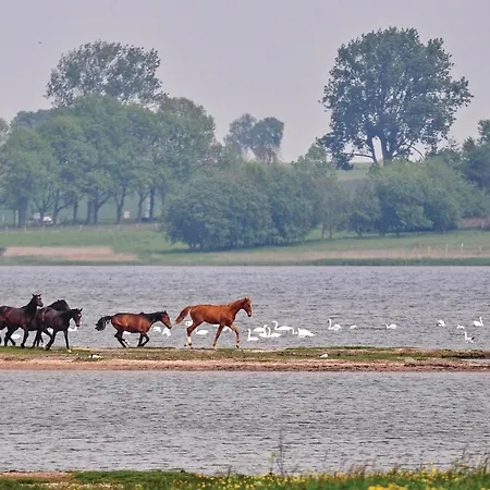 Prázdninový dům Ina C Timmendorf